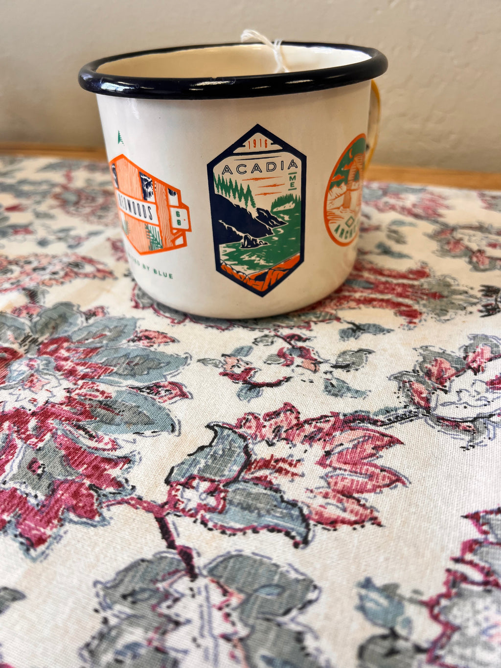 National Park Steel Mug