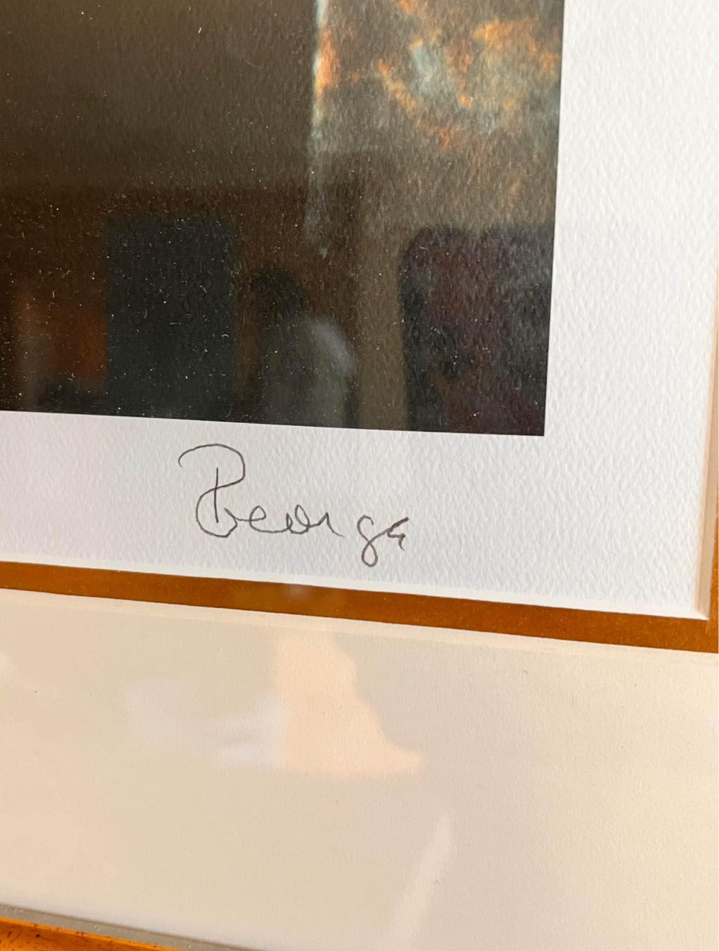 Beautiful Framed Print Signed P. Georgia 30”x40”