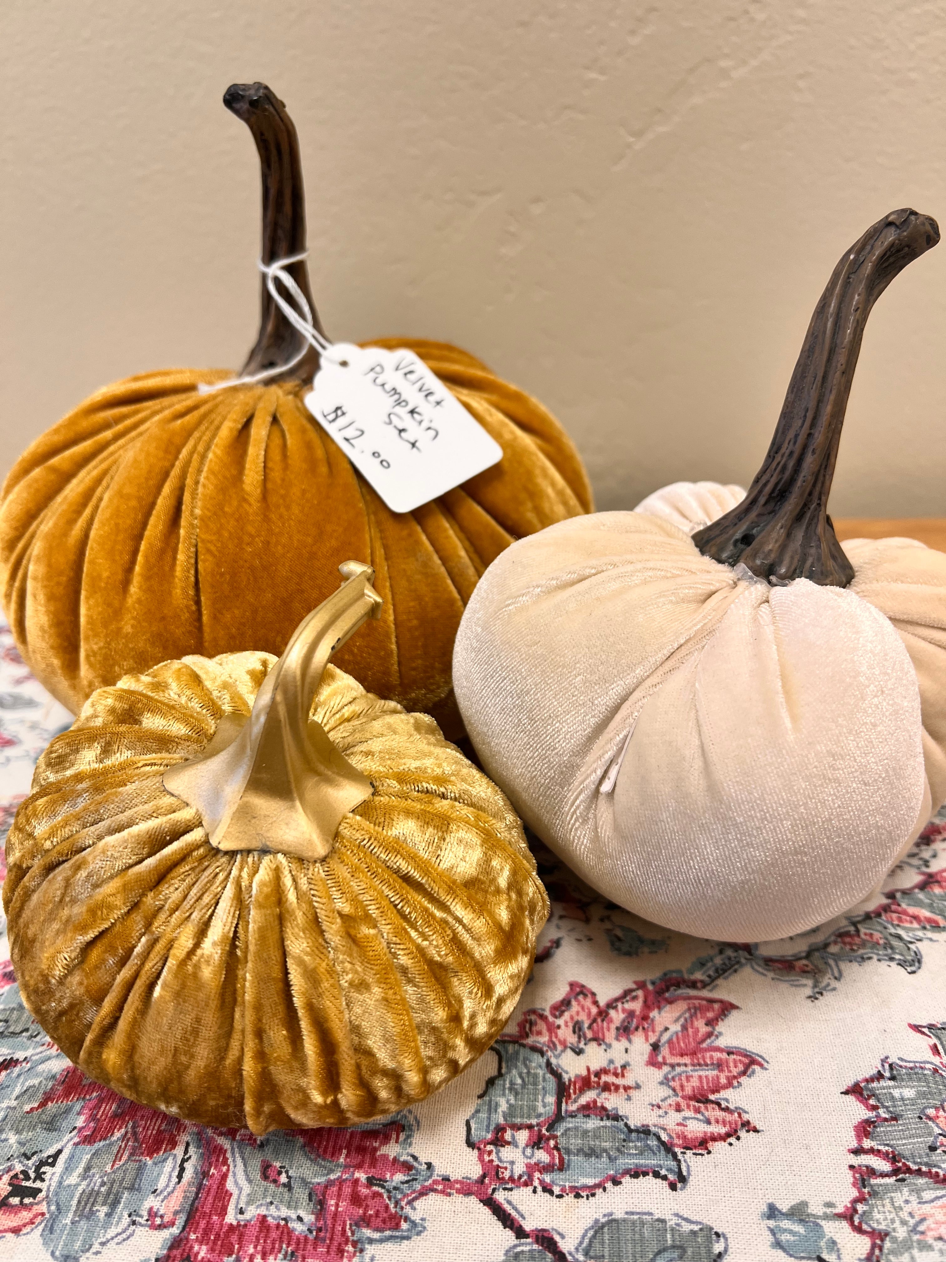 Velvet Pumpkin Set