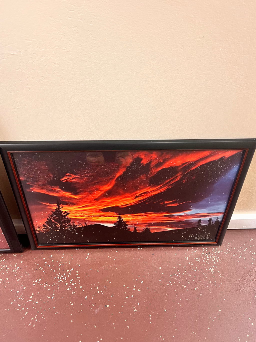 Denali National Park Framed Limited Edition Photograph by Kennan Ward 21”x30”