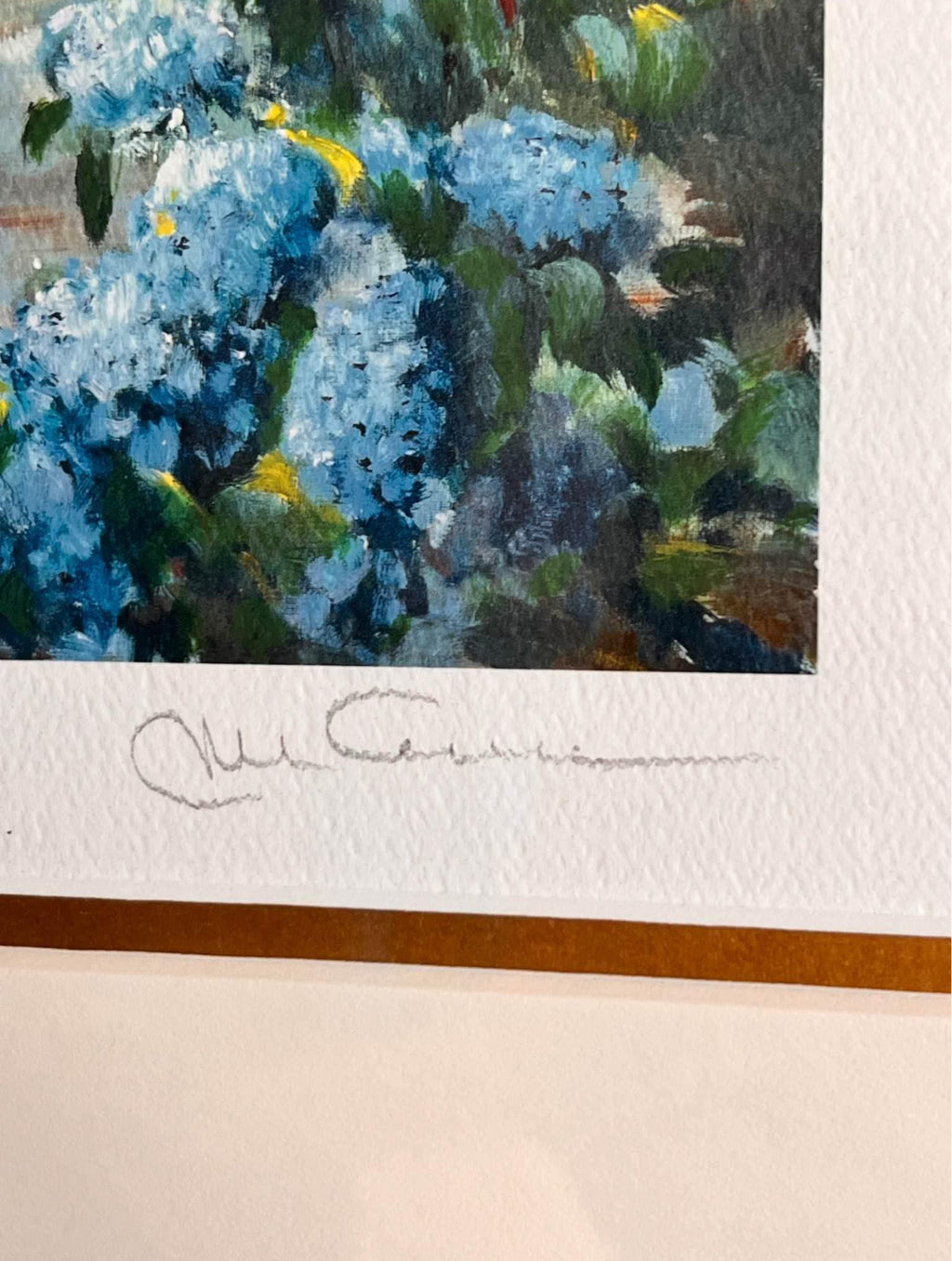 Beautiful Limited Edition Framed Prints Set 20”