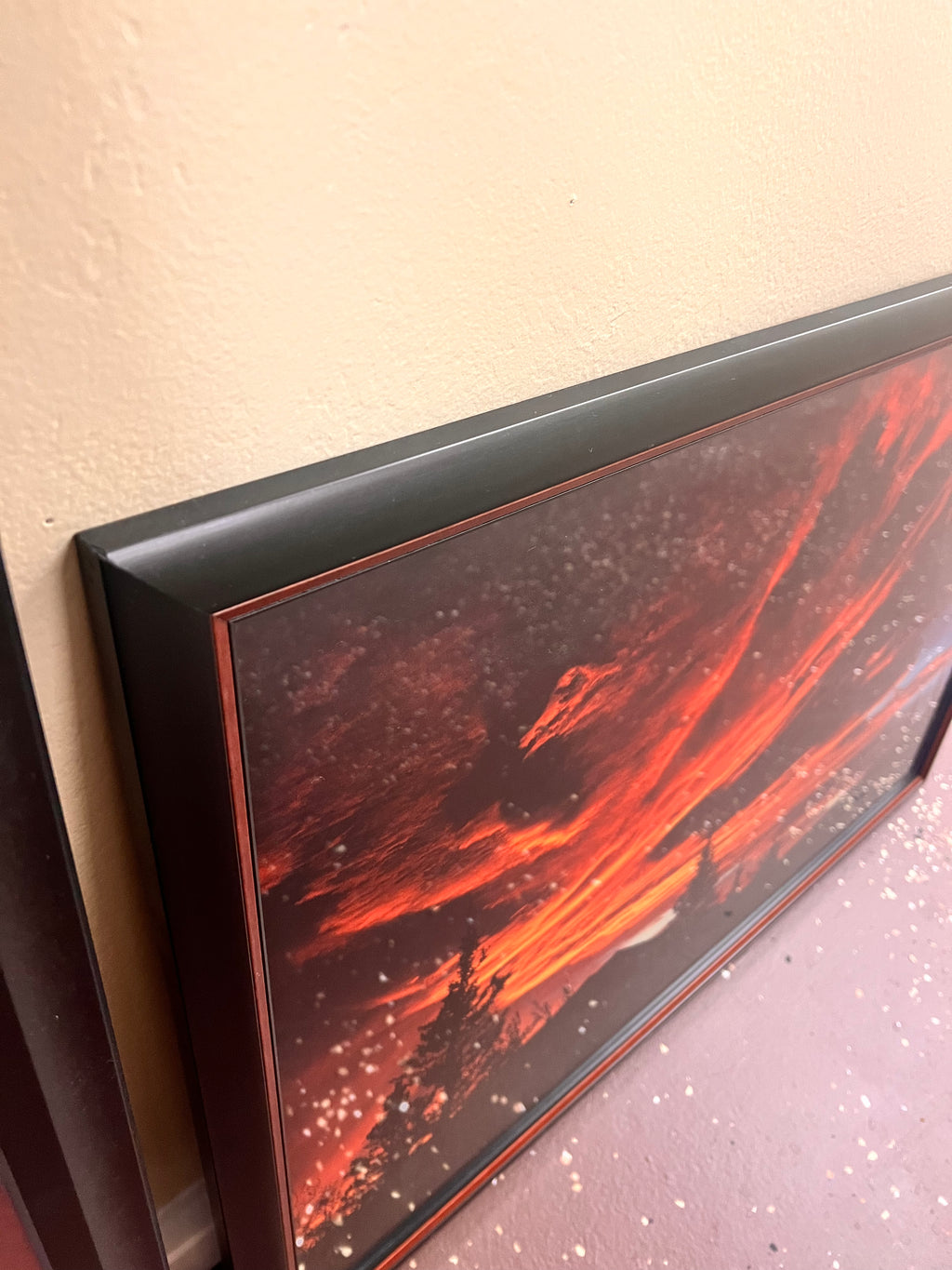 Denali National Park Framed Limited Edition Photograph by Kennan Ward 21”x30”