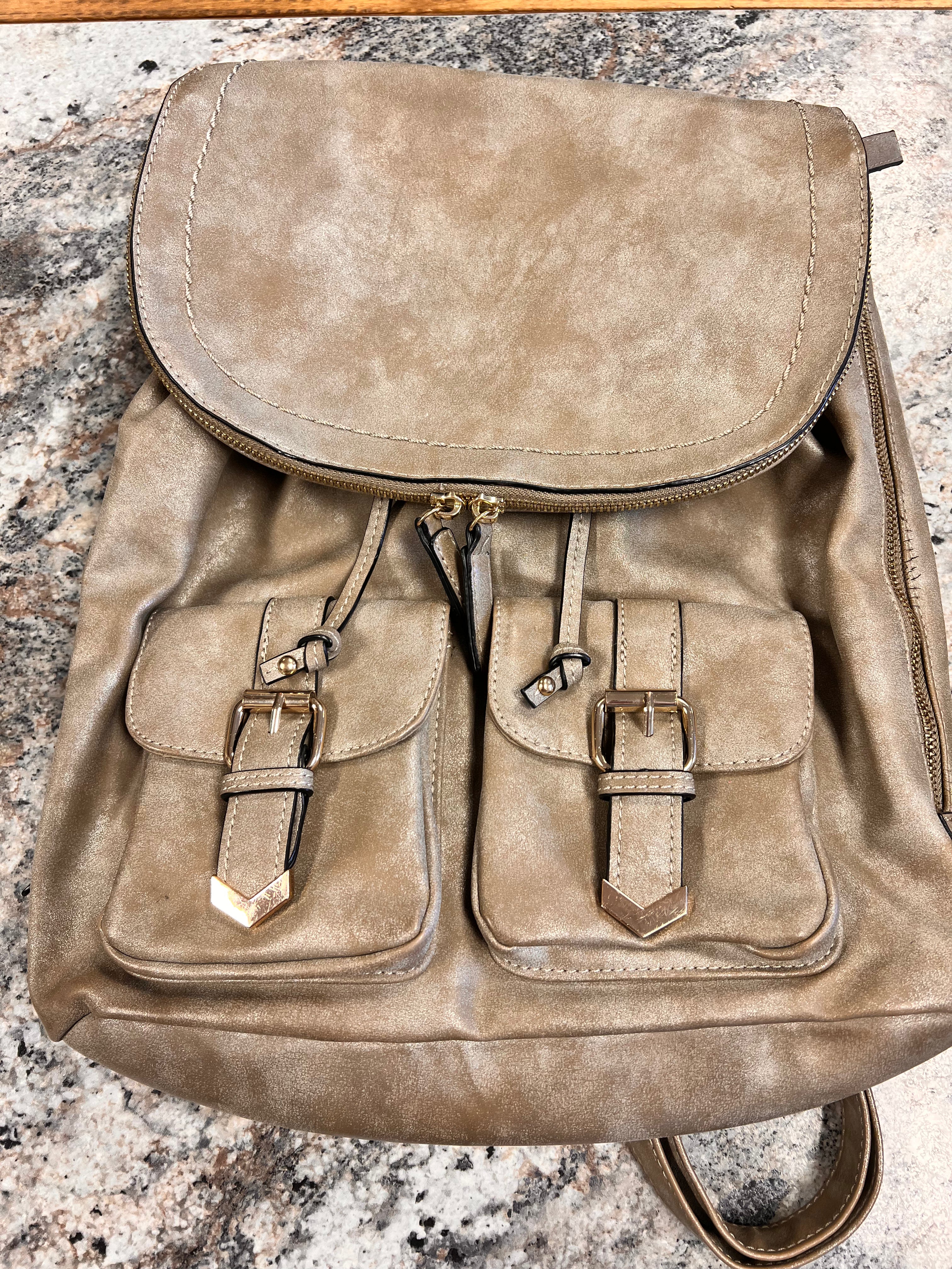 Aldo Backpack