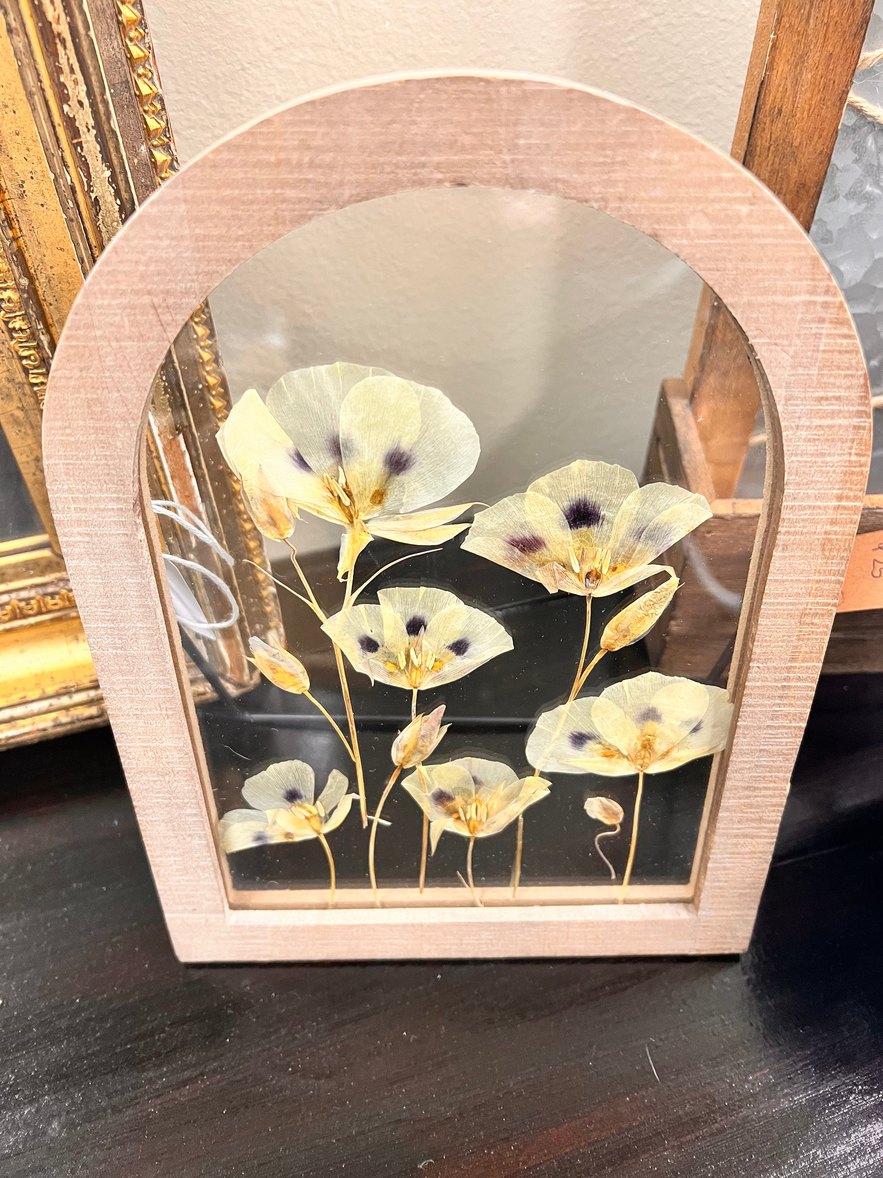 Framed Pressed Flowers