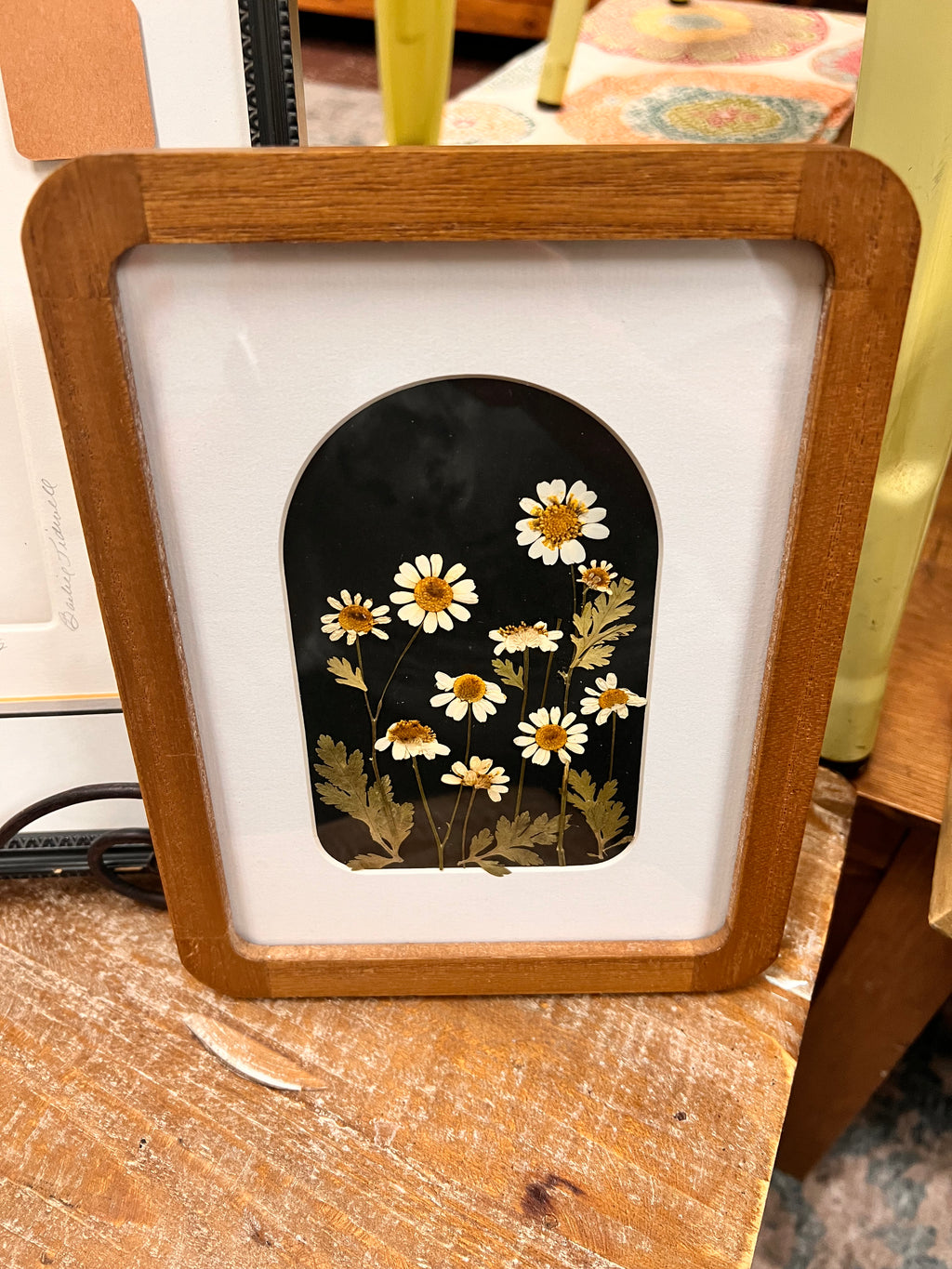 Framed Pressed Flower