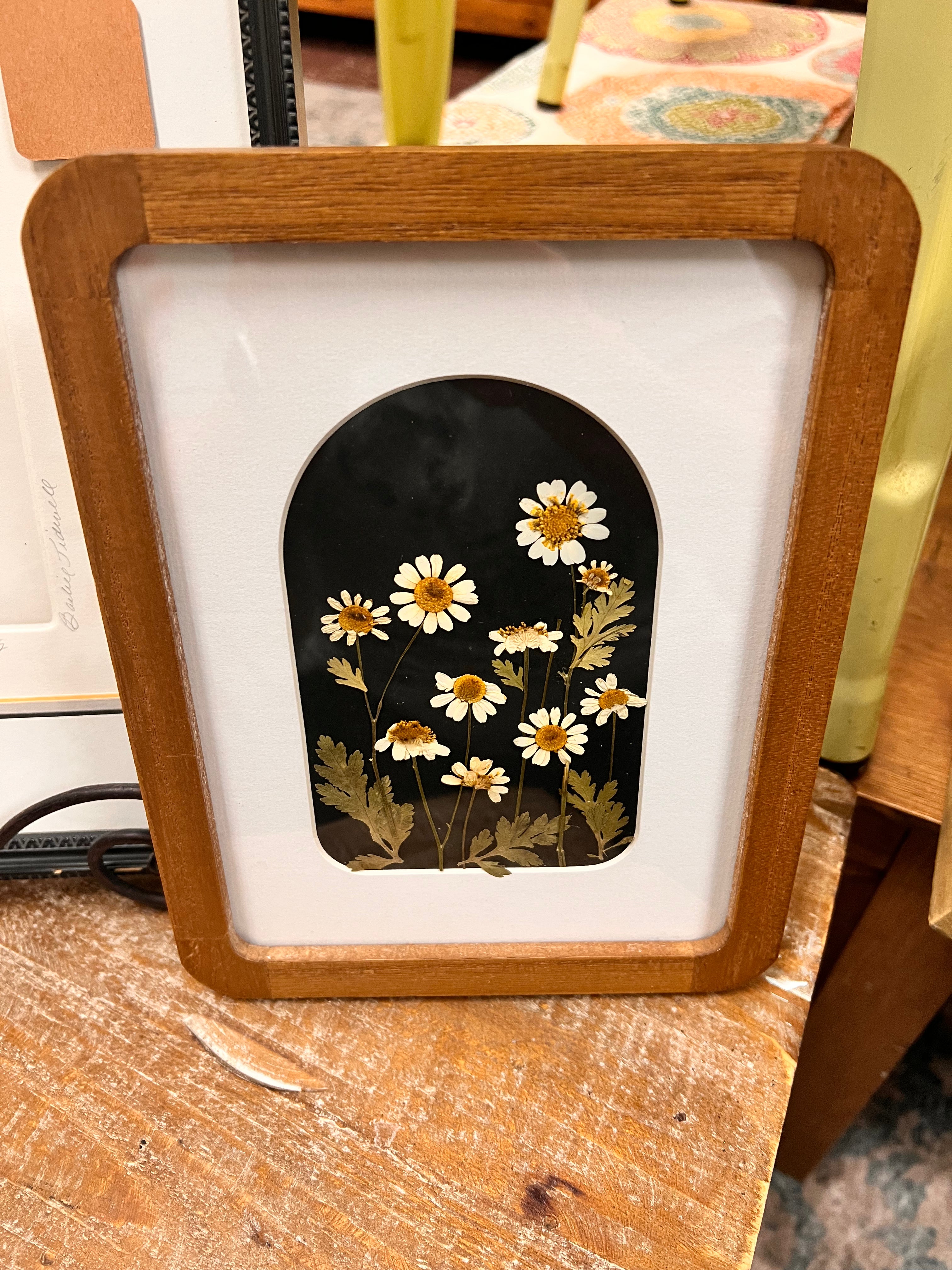 Framed Pressed Flower