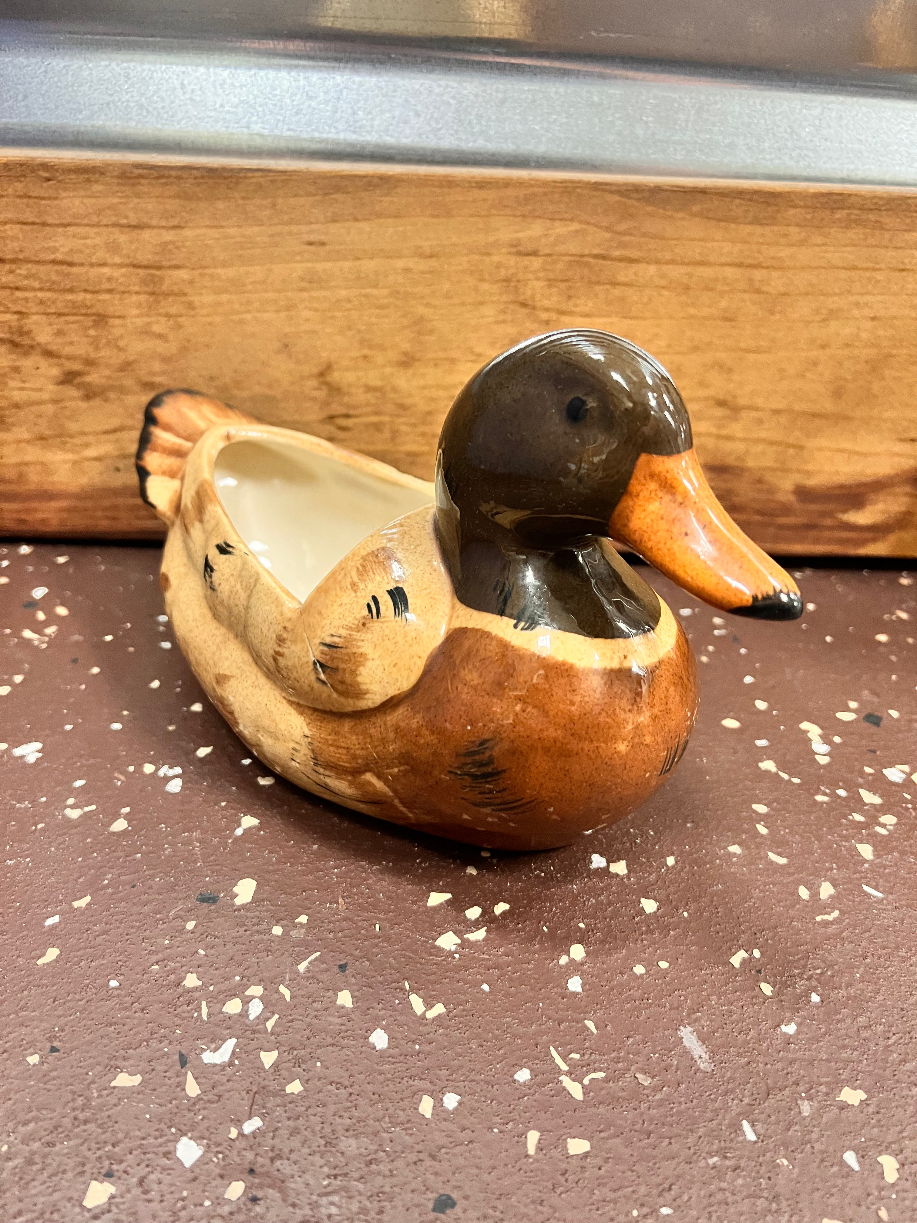 Duck Decor
