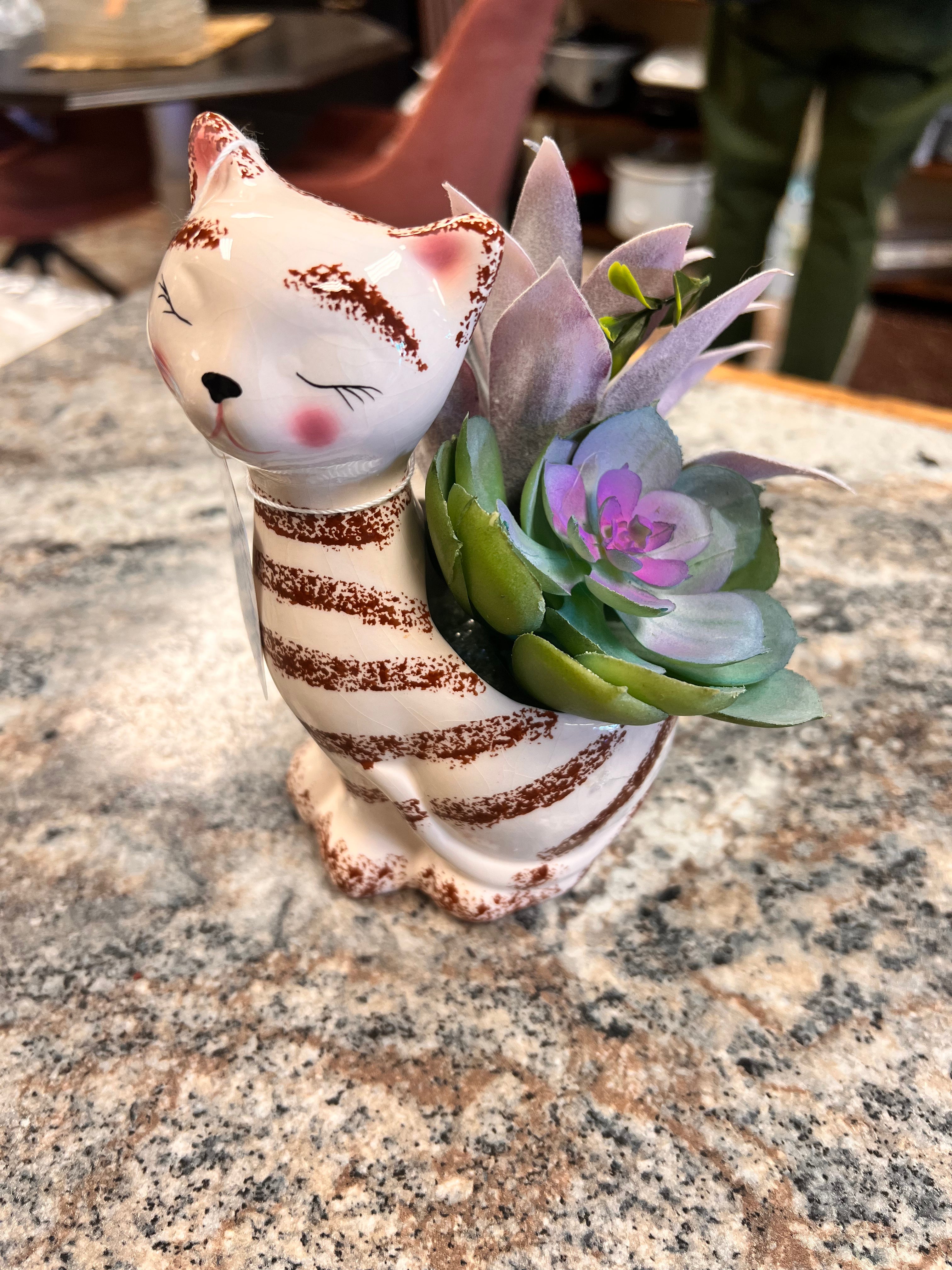 Cat Plant