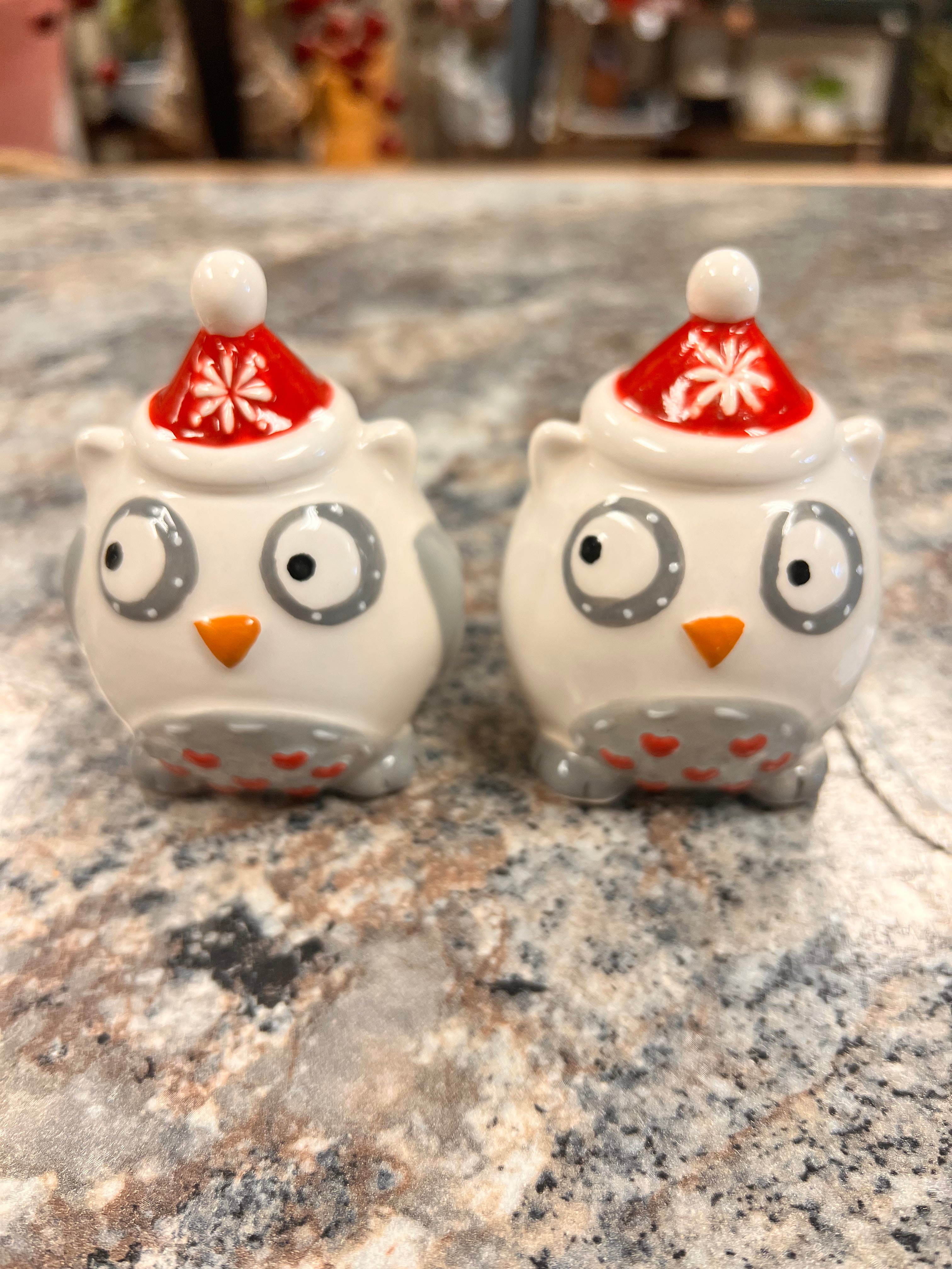 Owl Shaker Set