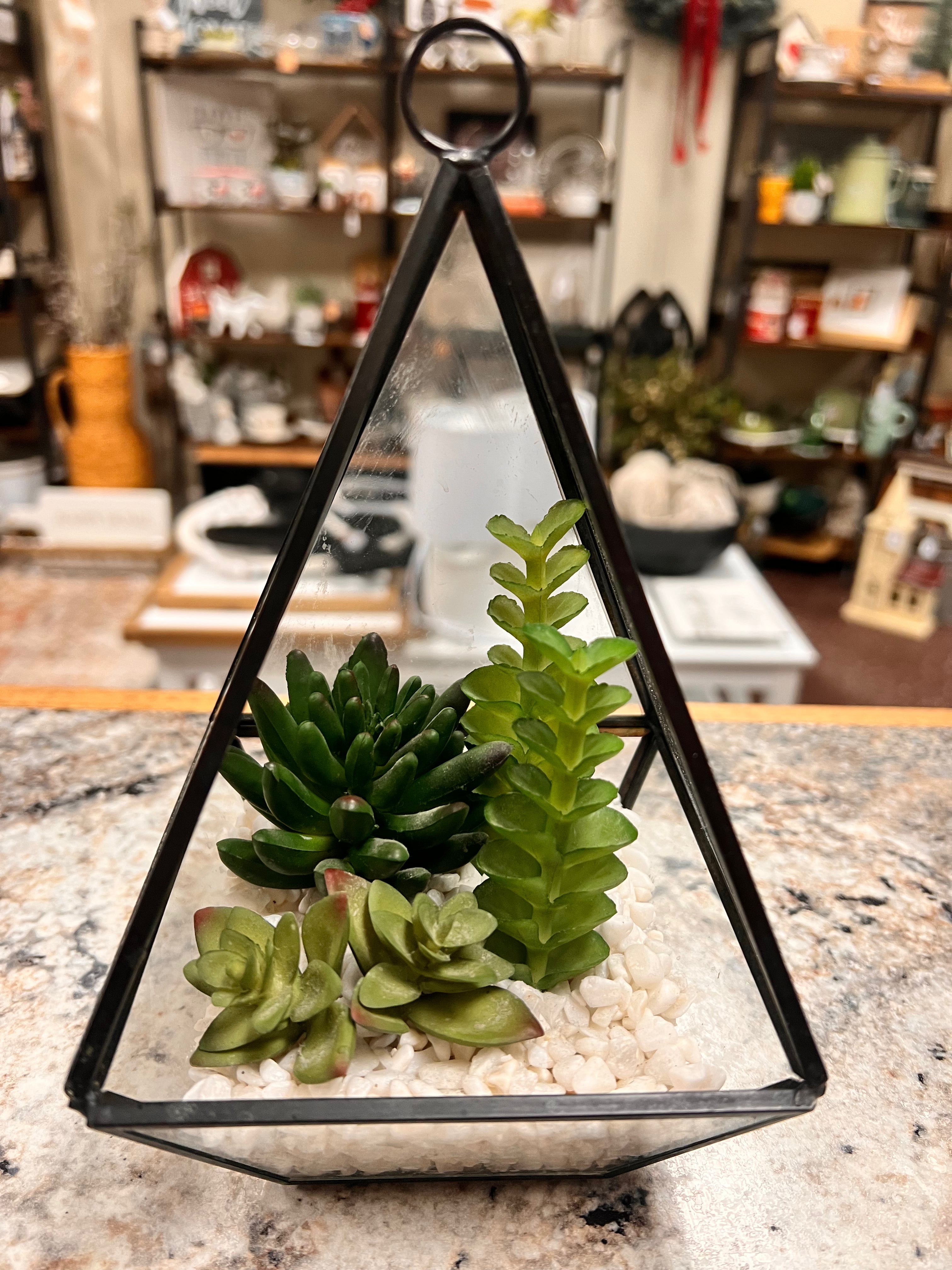 Plant Decor