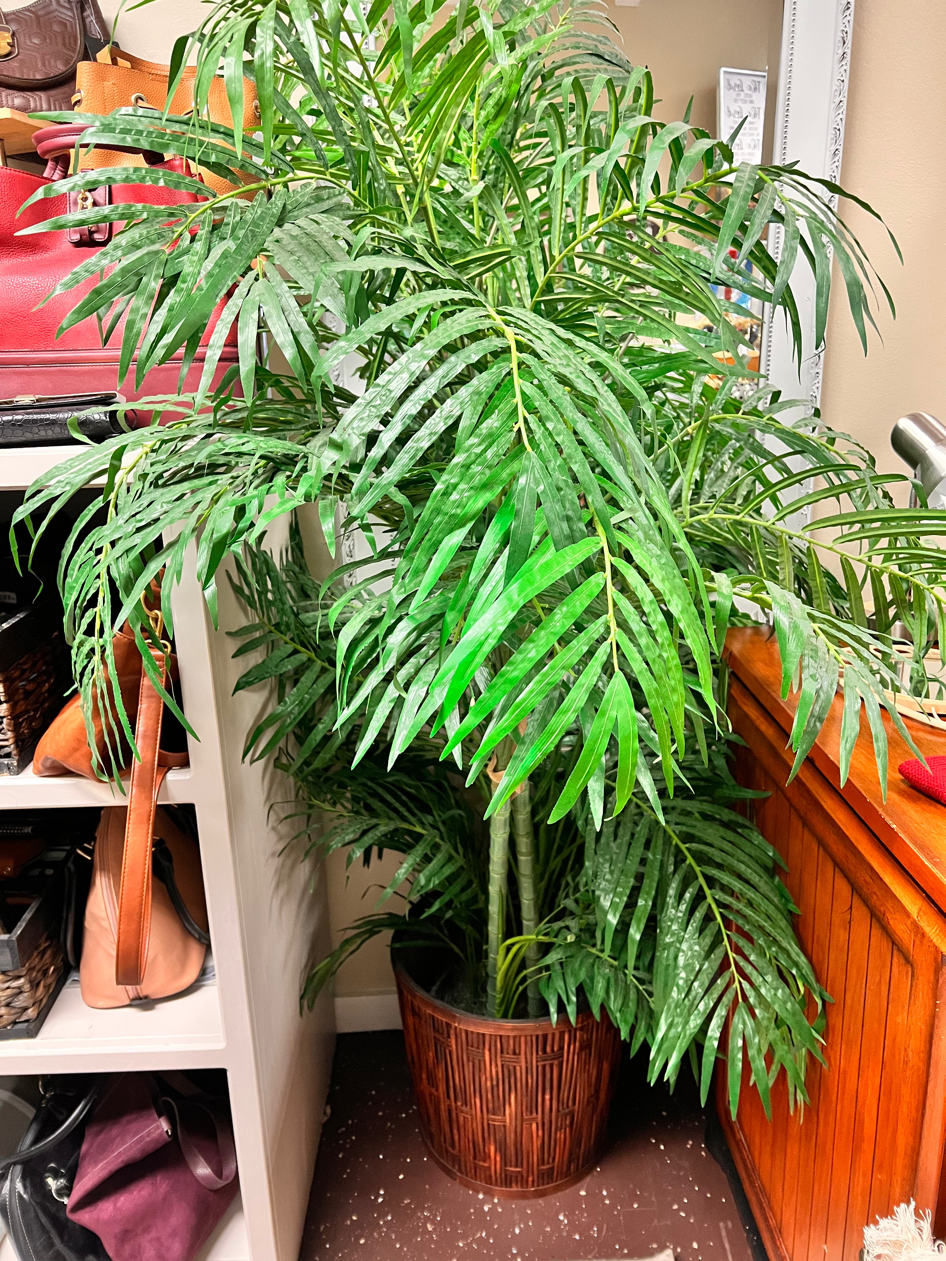 Large Plant