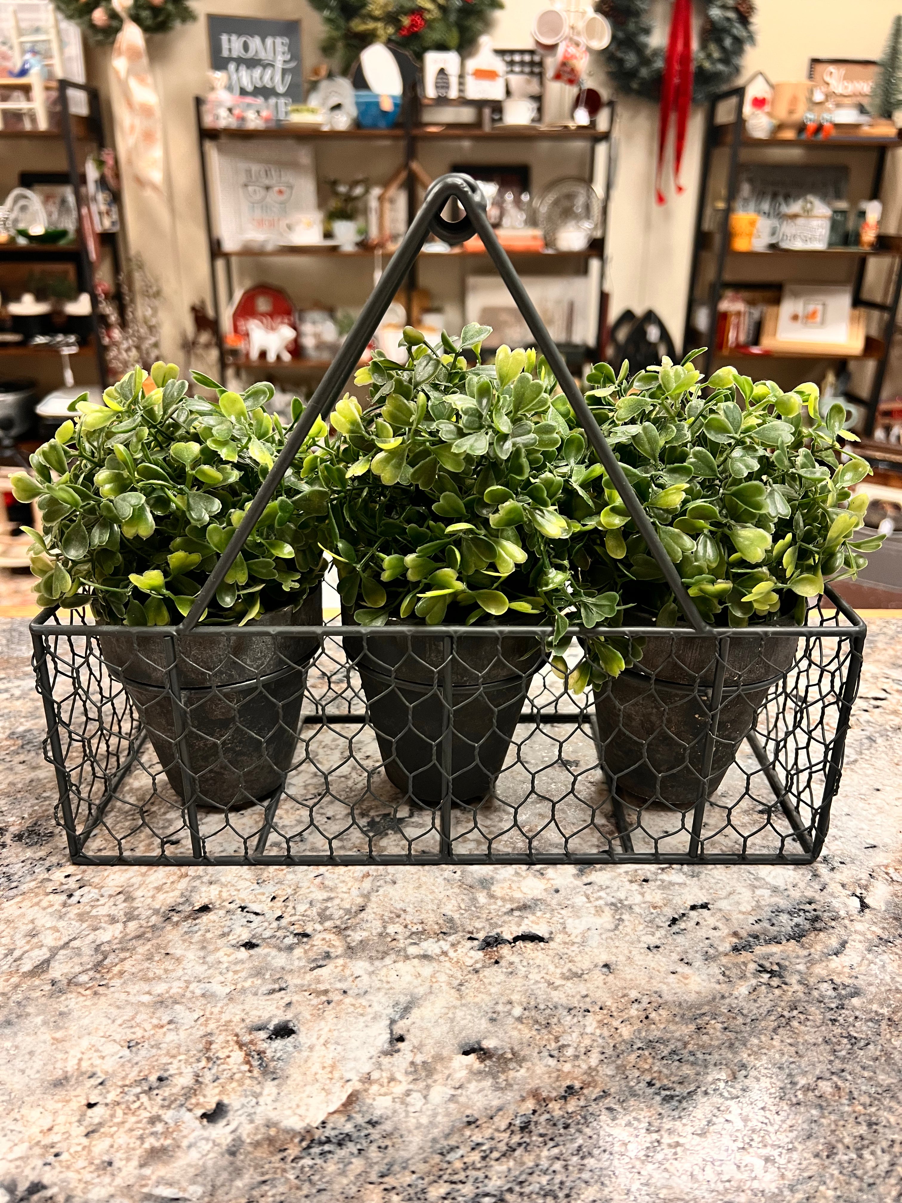 Planter Basket