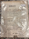 1873 Newspaper
