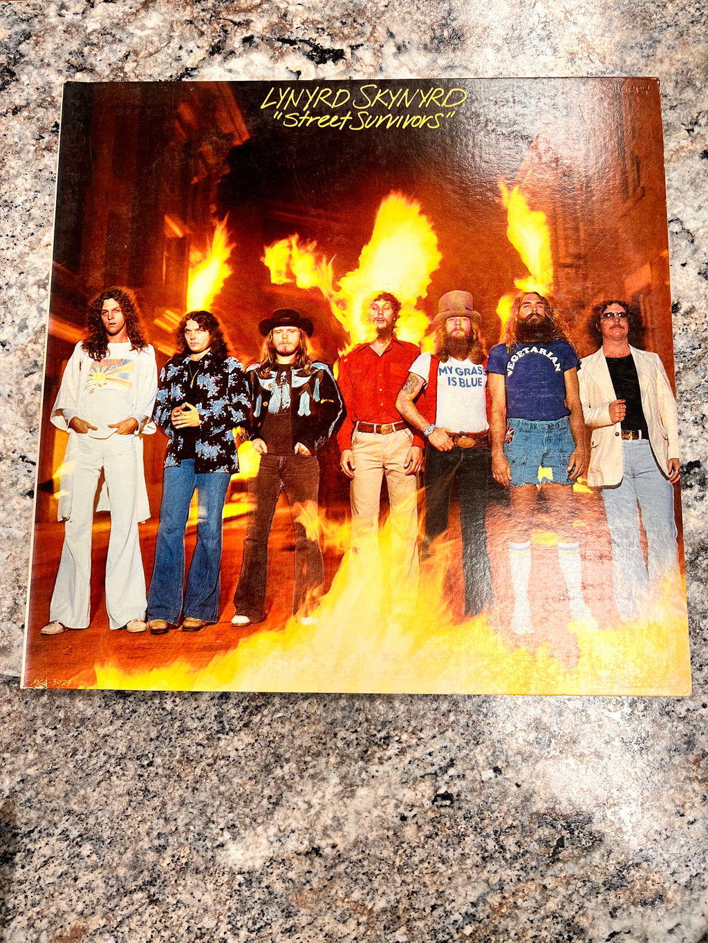 Lynyrd Skynyrd Record